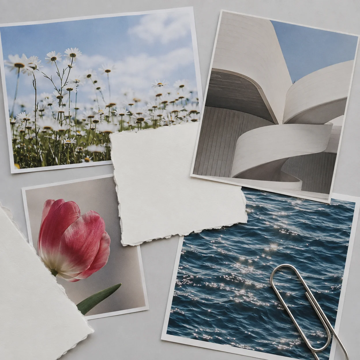 Physical photographs collected into a personal moodboard